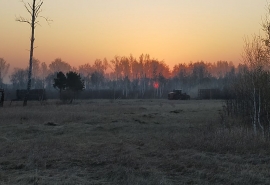 Техника получавшего субсидии омского фермера уйдет с молотка