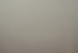 Губернатор Хоценко сделал заявление о поддержке тренеров в Омской области