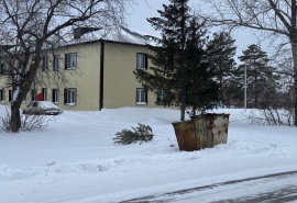 Не покупают елки: омичи перестали верить в главный символ Нового года?