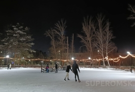 Шелест назвал омские катки для бесплатного катания на Рождество