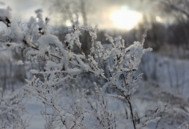Синоптики назвали дату долгожданного потепления после волны морозов в Омске