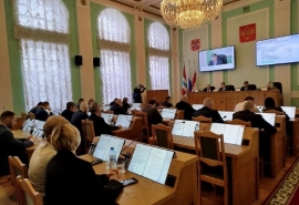 Контроль за вывесками и «регламент» по советам директоров: что решили омские депутаты