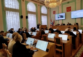 Контроль за вывесками и «регламент» по советам директоров: что решили омские депутаты