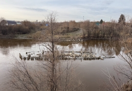 Платный мост в Омске встанет на «останках» советского