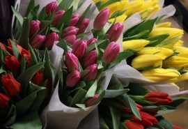 200 рублей за штуку не предел? в Омске начали накручивать цены на тюльпаны