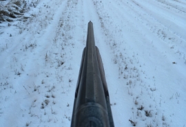 Омича не стали отправлять в колонию за гибель соседской собаки