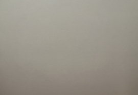 Омскую баптистскую церковь предупредили о слишком узких выходах