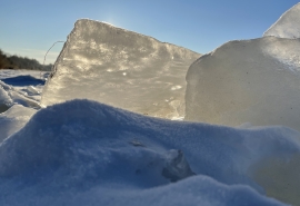 «Натаскал мешок»: омич рассказал о капризной рыбалке на Салтаиме