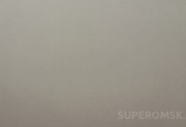 Омский фонд «Духовное наследие» переименовали в «Полежаев-Фонд»