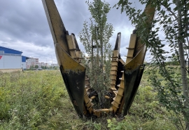 Мэрия Омска закупает пересадчик деревьев за 11 миллионов рублей