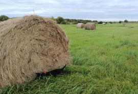 Без сюрпризов: оглашен неожиданный прогноз погоды на лето в Омской области
