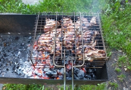 По всей Омской области вступил в силу запрет на жарку шашлыков