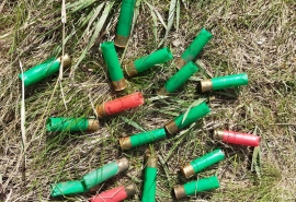 В Омской области добавили район для отстрела кабанов