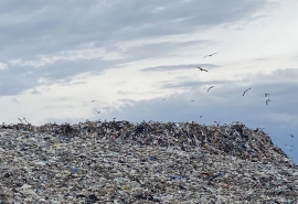 Алтайскому «мусорному» оператору из Омска заблокировали счета