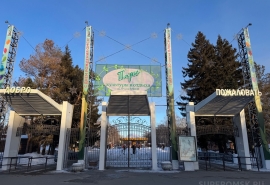 Омским паркам подобрали эффектного директора