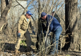 Мэр Омска Шелест прокомментировал свое выдвижение на праймериз в Госдуму