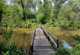 В Омской области грядет очередной ремонт мостов