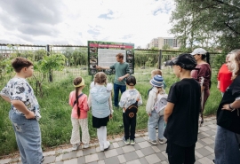 Омская площадка «Кордиант» подвела итоги природоохранных мероприятий
