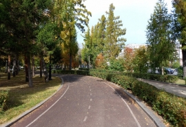 Скверу у Комсомольского моста в Омске хотят присвоить имя Жириновского