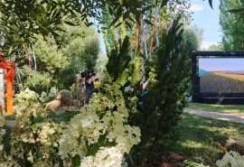 В омском Минприроды сделали заявление после противоречивых отзывов о «Флоре»