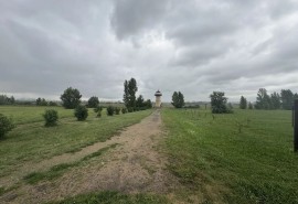 В омской «Птичьей гавани» легализуют новый пешеходный маршрут