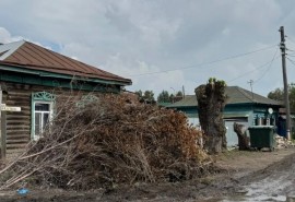 Суд запретил омичам выбрасывать ветки в мусорный баки
