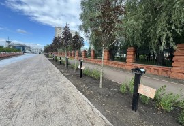 Первая аллея олимпийцев переехала на новую набережную в Омске