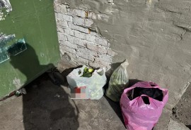Омичи столкнулись с «нашествием» огурцов