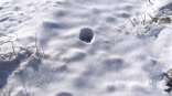 Жители Омской области показали обилие выпавшего снега