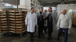 Полпреду президента Серышеву показали омский хлеб