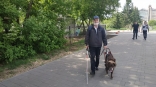 В беду попала преданная старенькая собака-поводырь Ювента: помогли ей омичи