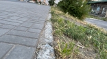 «Рассыпчатые» бордюры на улице Жукова в Омске замазали цементом