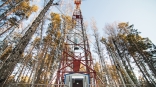 «МегаФон» увеличил площадь покрытия 4G на окраинах Омска