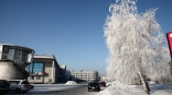 На Омскую область движутся морозы в -35 °C