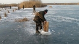 В Омской области готовятся к мору рыбы в водоемах