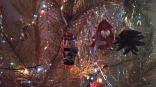 В Омске новогодние елки предложили сдать на переработку