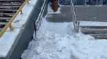 Омичи пожаловались на неубранный снег у новой «Арены»