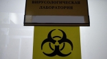 В Омской области ввели карантин из-за заразной смертельной инфекции