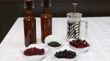 Бутилированный иван-чай омского производства начнут продавать в 2024 году