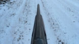 Омская полиция проводит проверку из-за жестокой охоты на волка – его задавили снегоходом