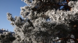 В феврале в Омской области вслед за весенней оттепелью ударят январские морозы