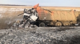 Столкновение двух большегрузов на трассе Тюмень – Омск привело к смерти