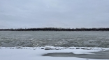 Омские метеорологи сообщили о загрязненной воде в Иртыше на границе с Казахстаном