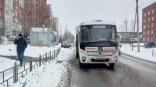 В Омске автобус снес на остановке 78-летнюю женщину