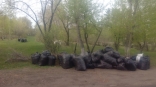 В Омске мусор после субботников вывезут управляющие компании