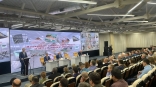 В Омской области на развитие животноводства в 2023 году планируется направить более 1 миллиарда рублей
