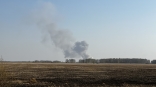 Омские огнеборцы занялись последним лесным пожаром в регионе