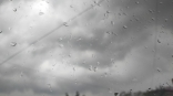 Гроза и порывистый ветер: на Омскую область надвигается непогода
