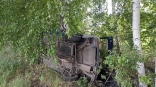 В Омской области водитель погиб после внезапного столкновения с деревом