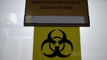 Опасная инфекция охватила еще один населенный пункт в Омской области